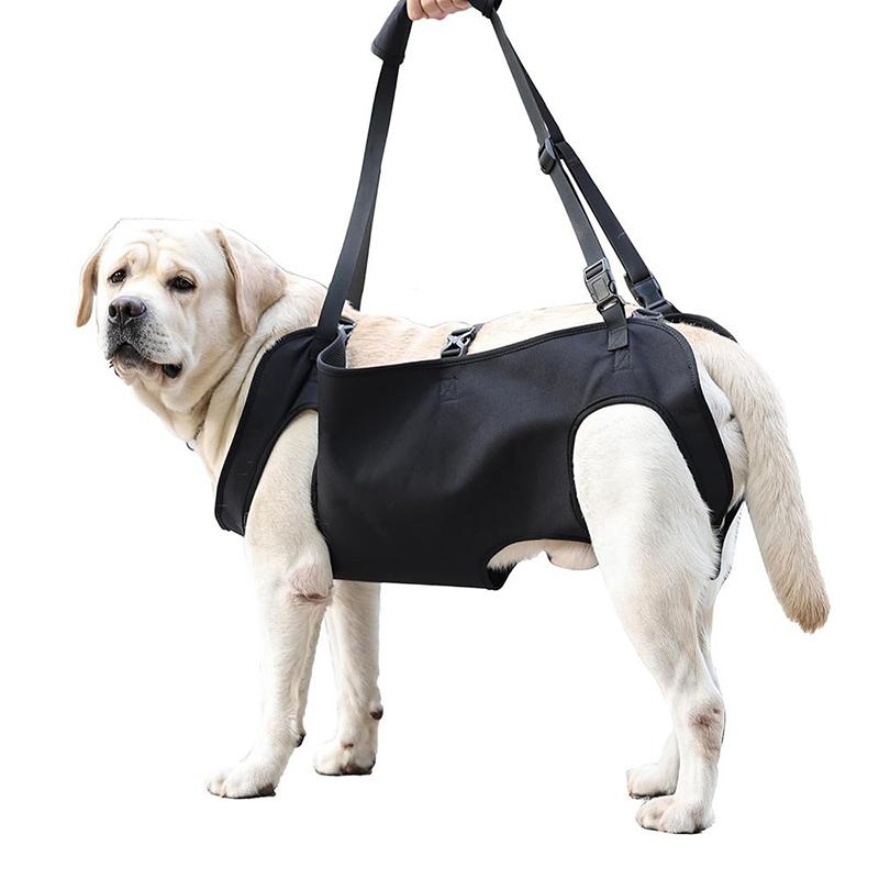 Harness Climbing Adjustable - สายจูงช่วยเหลือสำหรับสุนัข สายรัดพยุงสุนัขสูงวัย สายรัดปรับระดับได้สำหรับยกสัตว์เลี้ยง สายรัดช่วยปีนบันไดสำหรับสุนัขขนาดใหญ่