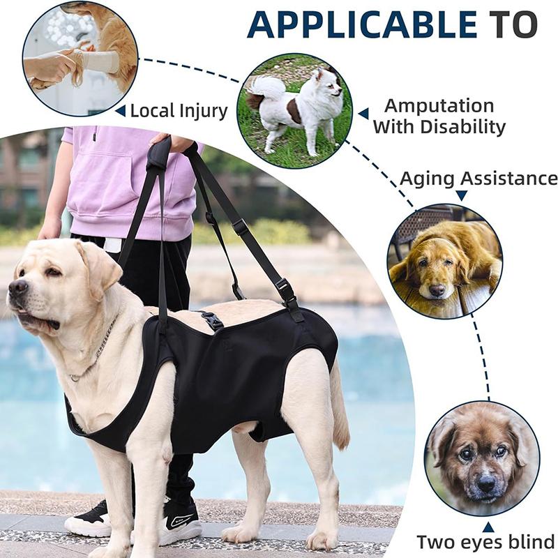 สายจูงช่วยเหลือสำหรับสุนัข สาย - Harness Climbing Adjustable บทวิจารณ์และราคา