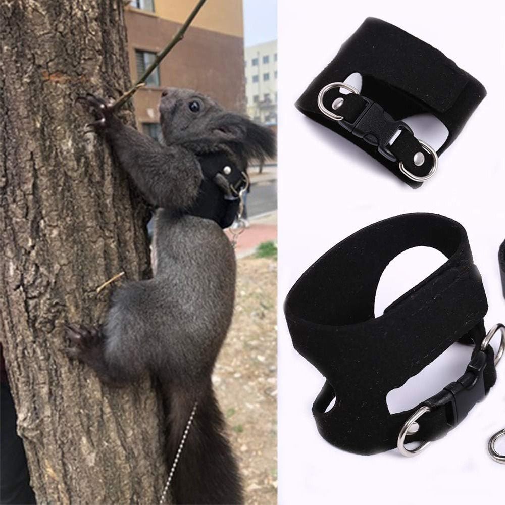 ชุดสายจูงและสายรัดปรับได้สำหรั - Harness Climbing Adjustable บทวิจารณ์และราคา