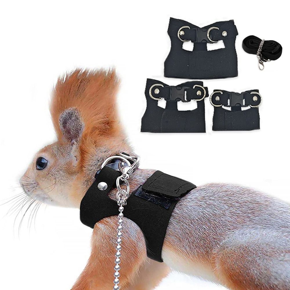 ชุดสายจูงและสายรัดปรับได้สำหรั - Harness Climbing Adjustable บทวิจารณ์และราคา