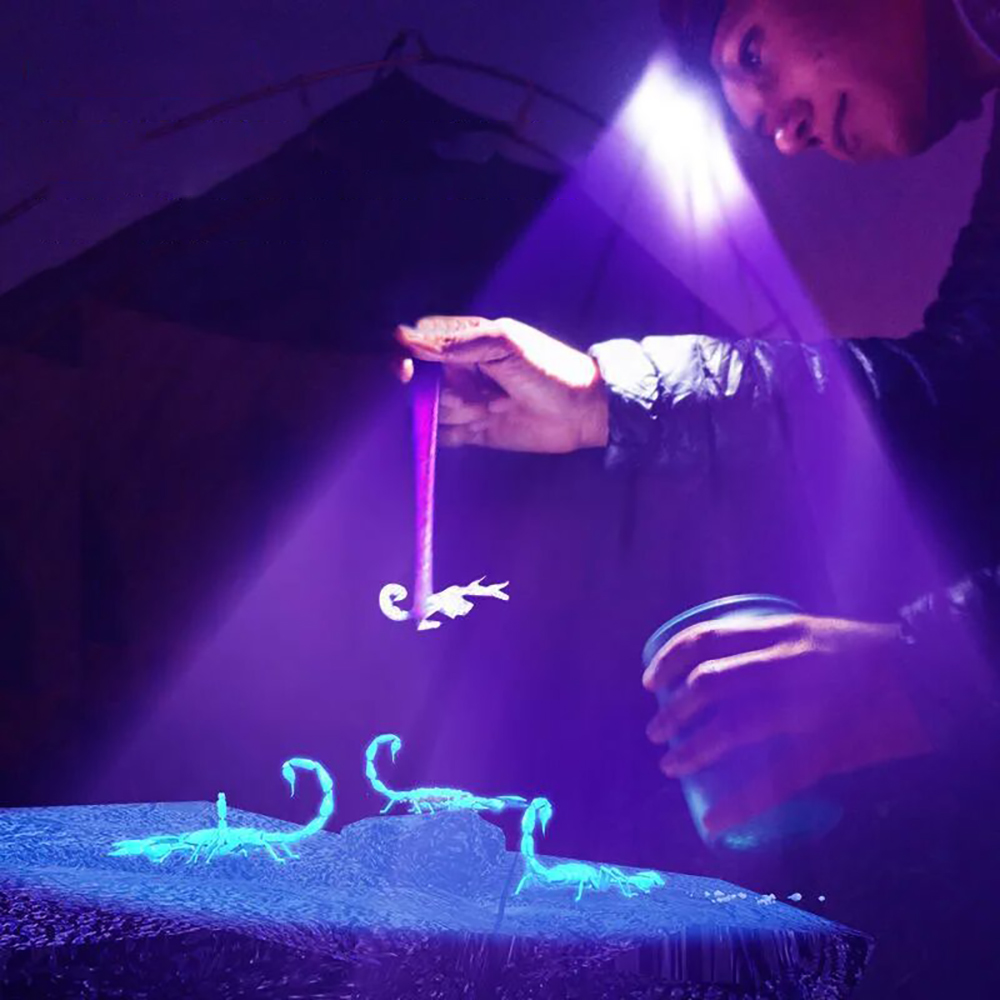 ไฟฉายคาดศีรษะ F2 สีขาว+แสง UV  - Outdoor Adventure Uva บทวิจารณ์และราคา